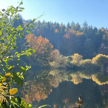 Apartment Charismatisch Und Gemuetlich In Guettingen, Nah Zum Buchensee Und Bodensee, Tolle Lage