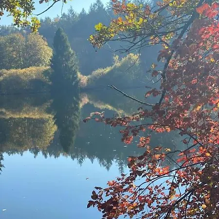 Charismatisch Und Gemuetlich In Guettingen, Nah Zum Buchensee Und Bodensee, Tolle Lage Radolfzell am Bodensee