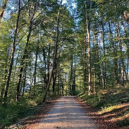 Charismatisch Und Gemuetlich In Guettingen, Nah Zum Buchensee Und Bodensee, Tolle Lage *